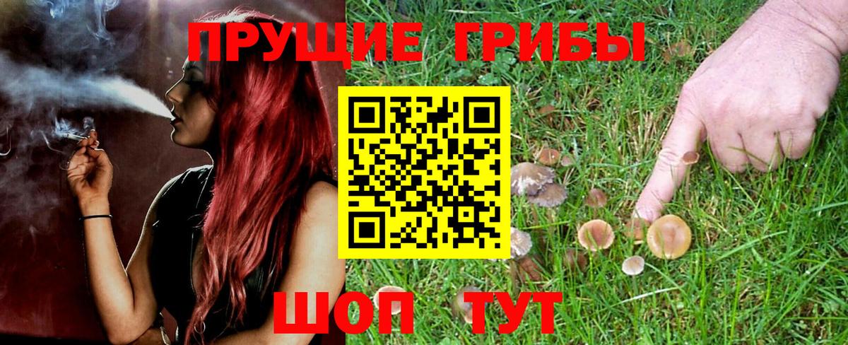 Псилоцибиновые грибы ЛСД Зеленокумск