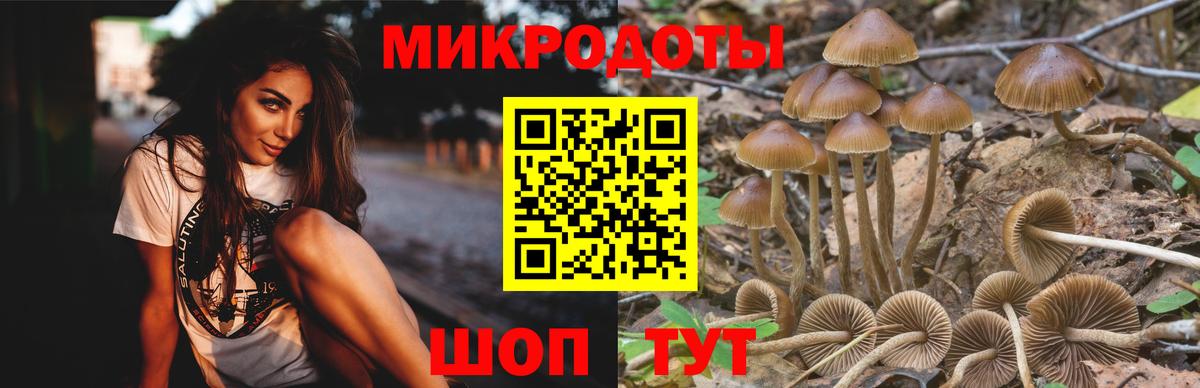 Галлюциногенные грибы Psilocybe  Вход с VPN  Зеленокумск 